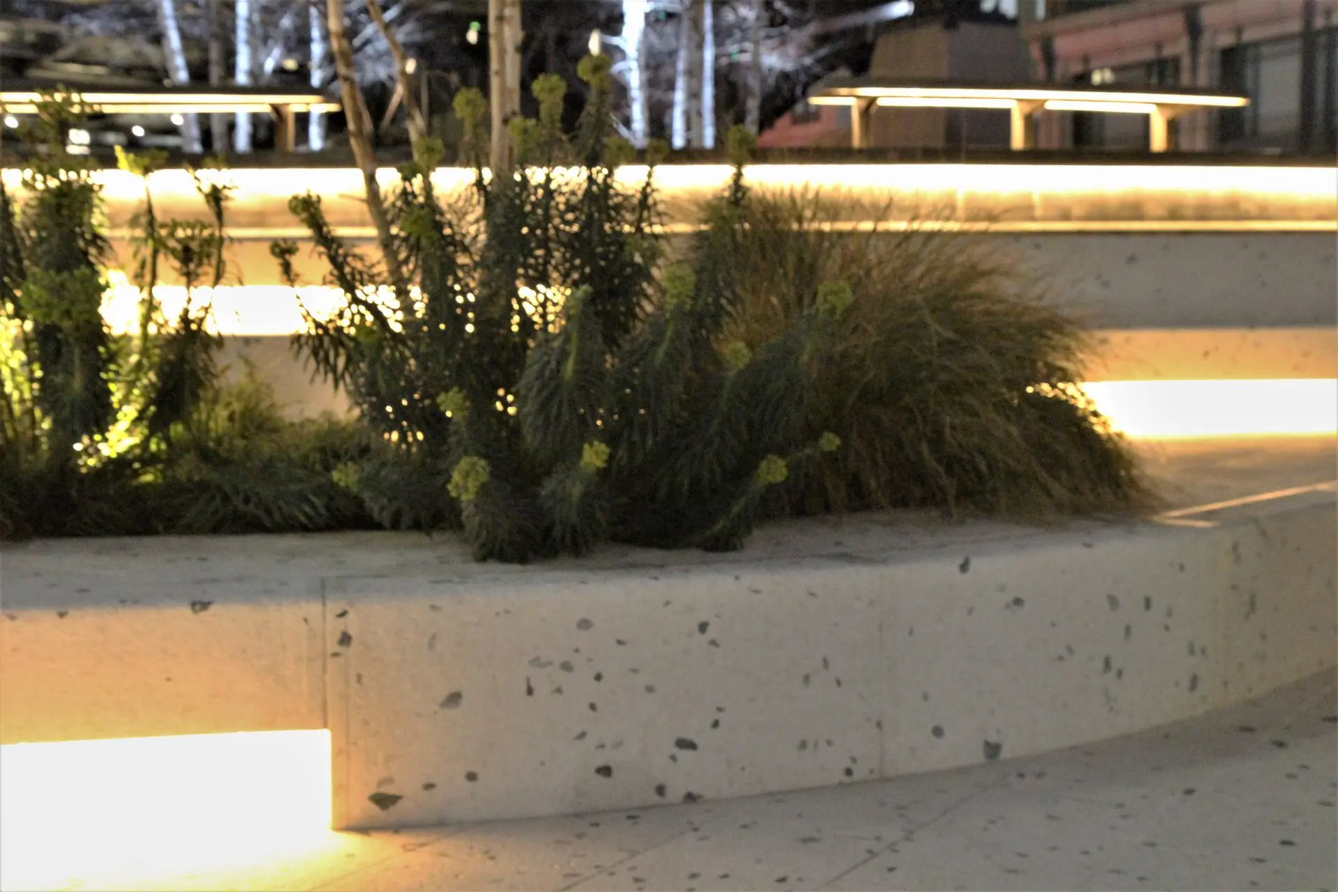 Exchange Square Park Steps and Planting Lighting