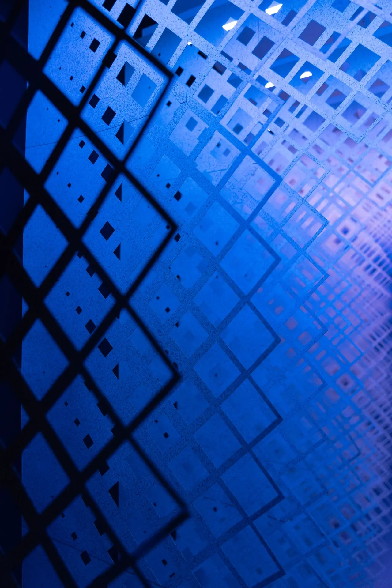 Fata Morgana CDW 2023 Installation View 1