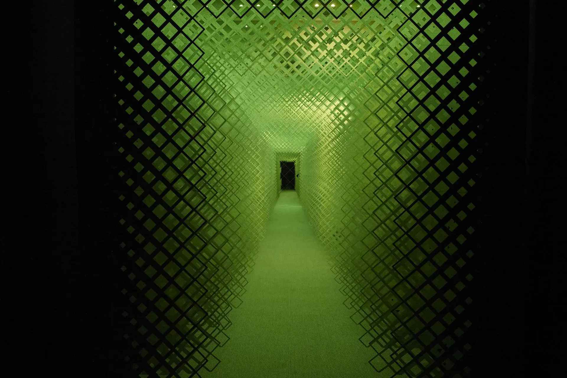 Fata Morgana CDW 2023 Installation Detail 2