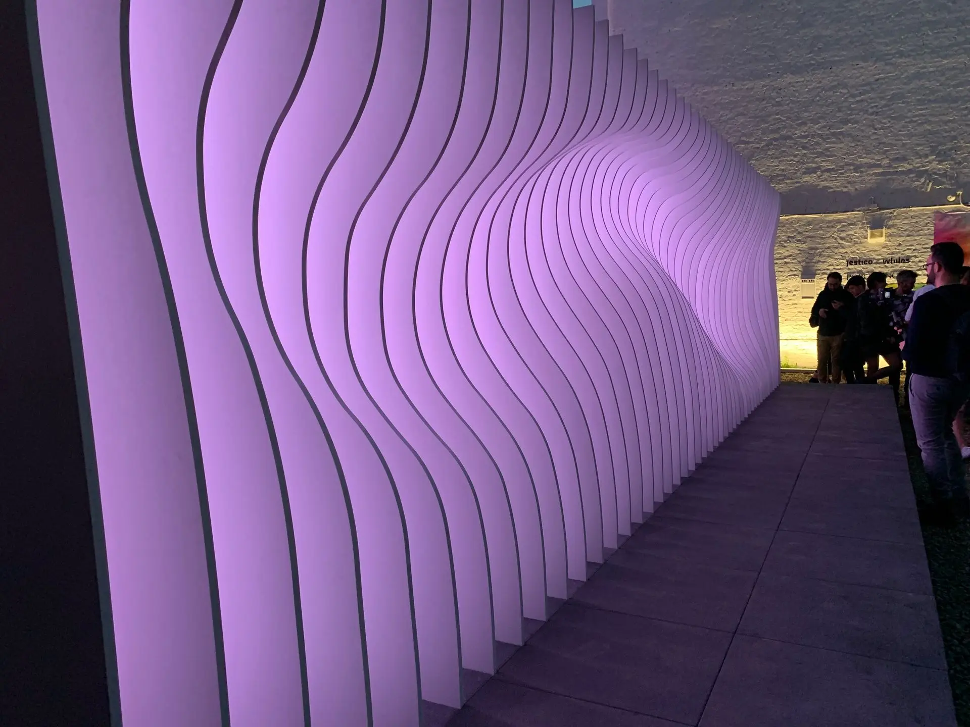 Pareidolia Installation Perspective